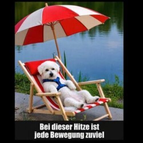 Hitzefrei, die (Hunde)Schule am 27.6. fällt aus