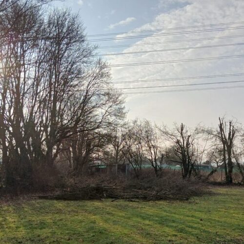 Start in unsere neue Saison mit Arbeitsatz am 7.3.2026