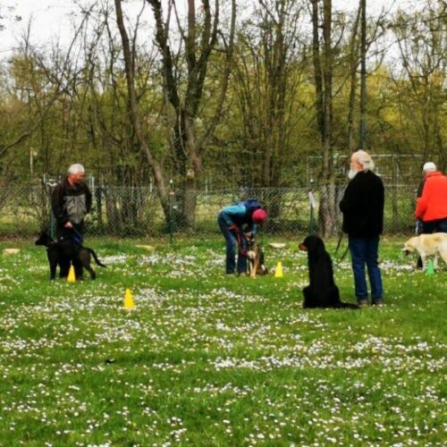 Ende der Übungsstunden Montags und Freitags ab dem 25. Oktober