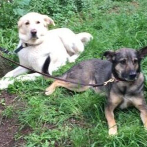 Ende des Übungsbetriebes; Start der Winterpause