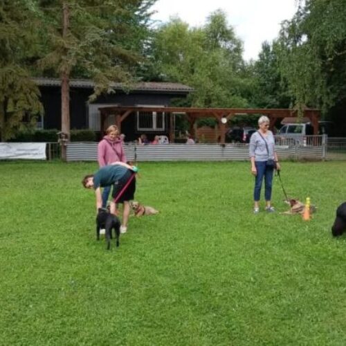 Änderung der Trainingszeiten ab dem 13. September 2025