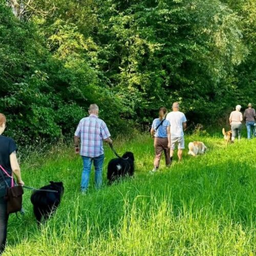 Ausfall von Trainingseinheiten im September und Oktober