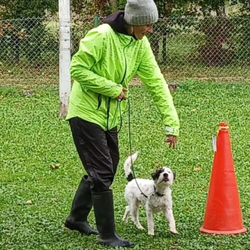 Unsere Trainings am Montag und Freitag starten