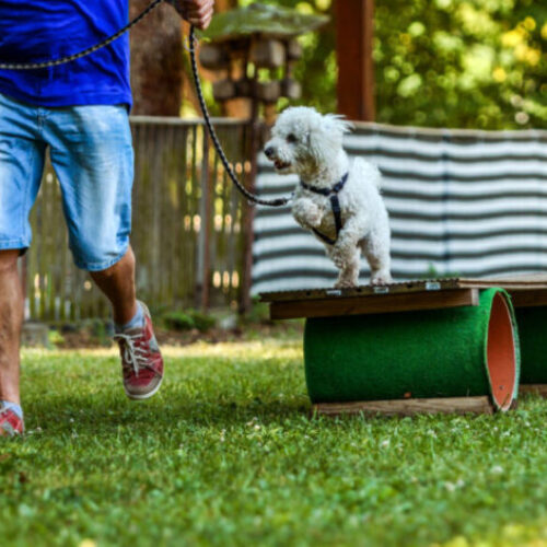 Änderung der Trainingszeiten ab dem 14. Juni 2025